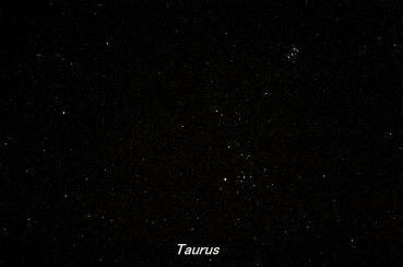 Photograph of the constellation Taurus, the Bull (click for full-size photo)