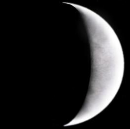 A crescent Venus sketched by Paul G Abel in September 2015 (Image: Paul G Abel/ALPO-Japan)