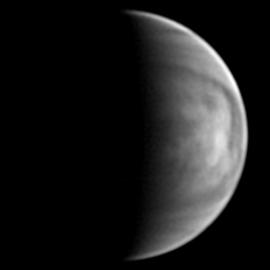 Venus in ultraviolet light imaged by Phillipe Chatelain in June 2023 (Image: Phillipe Chatelain/ALPO-Japan)