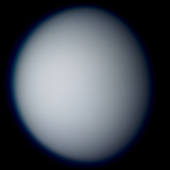 A distant Venus imaged by Mitsuji Morita in February 2023 (Image: Mitsuji Morita/ALPO-Japan)