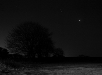 Venus as an 'Evening Star' in the Western sky in January 2009. Click for full-size image, 163 KB (Copyright Martin J Powell 2009)