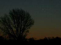 A morning conjunction between Venus and Jupiter in November 2017 (click for full-size image, 97 KB) (Photo: Copyright Martin J Powell, 2017)