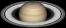Saturn at opposition in 2019 (Image modified from NASA's Solar System Simulator)
