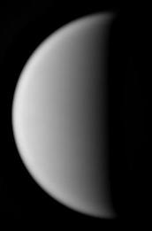 Venus near half-phase imaged by Clyde Foster in October 2023 (Image: Clyde Foster/ALPO-Japan)
