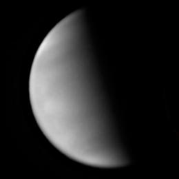Venus at half-phase imaged by Yaroslav Naryzhniy in August 2020 (Image: Yaroslav Naryzhniy/ALPO-Japan)
