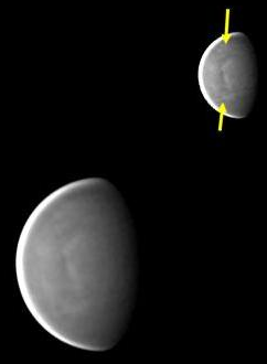 A cloud discontinuity in Venus' atmosphere imaged by Ant�nio Cidad�o on May 25th 2022 (Image: Ant�nio Cidad�o/ALPO-Japan)