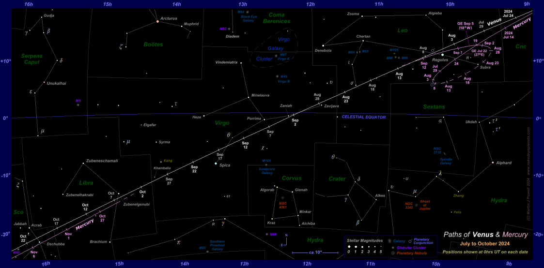Star chart showing the paths of Venus and Mercury through the zodiac constellations for the earlier part of Venus' evening apparition in 2024-25. Click for full-size image (Copyright Martin J Powell 2024)